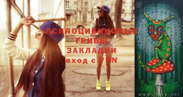таблы Белокуриха