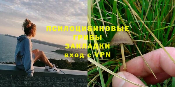 2c-b Беломорск